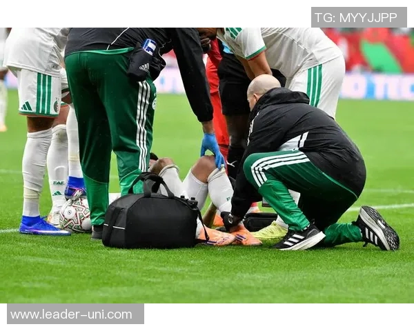 非洲足球明星在欧洲赛场的璀璨表现与成就盘点